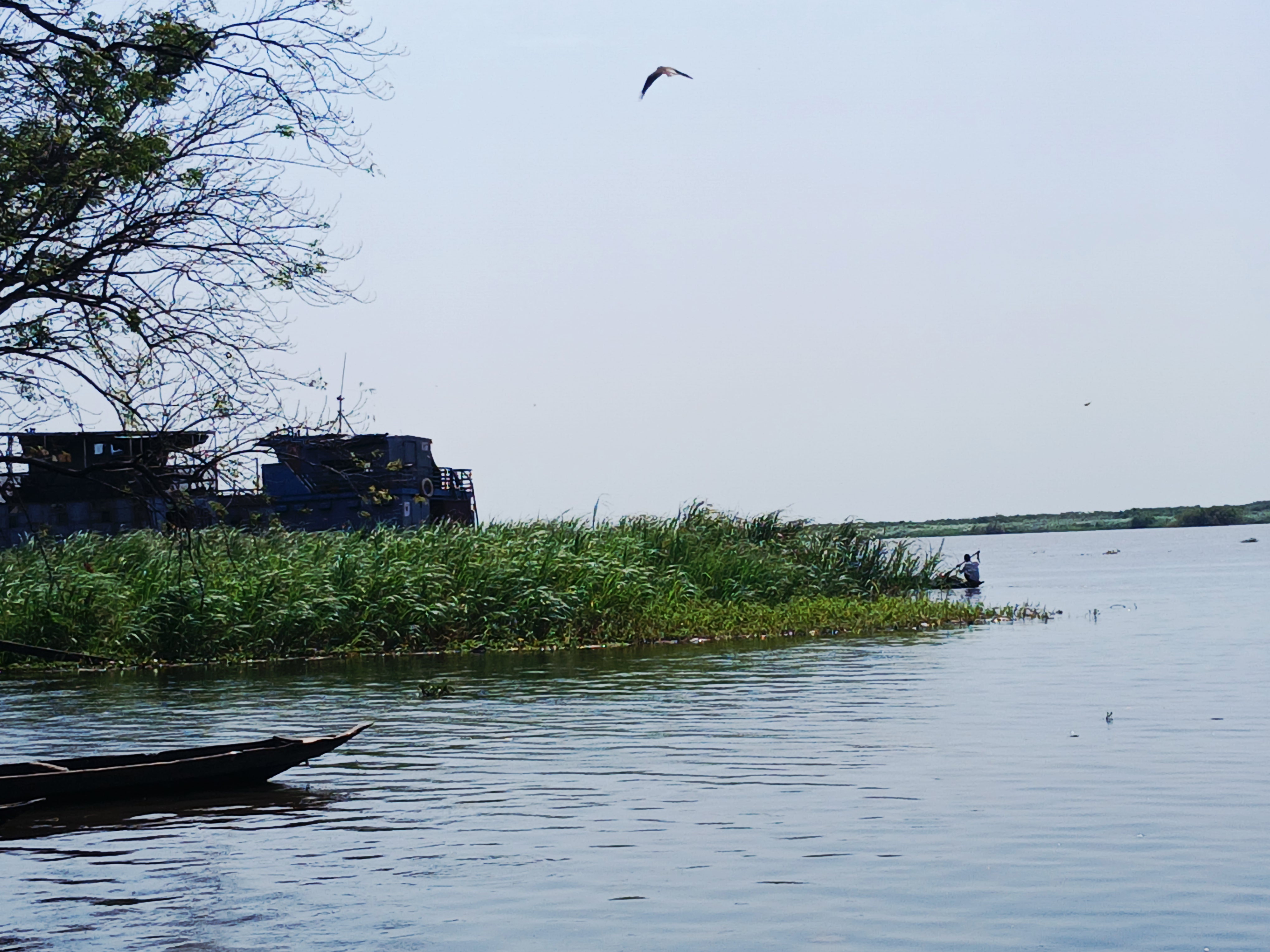 Governance and Relief